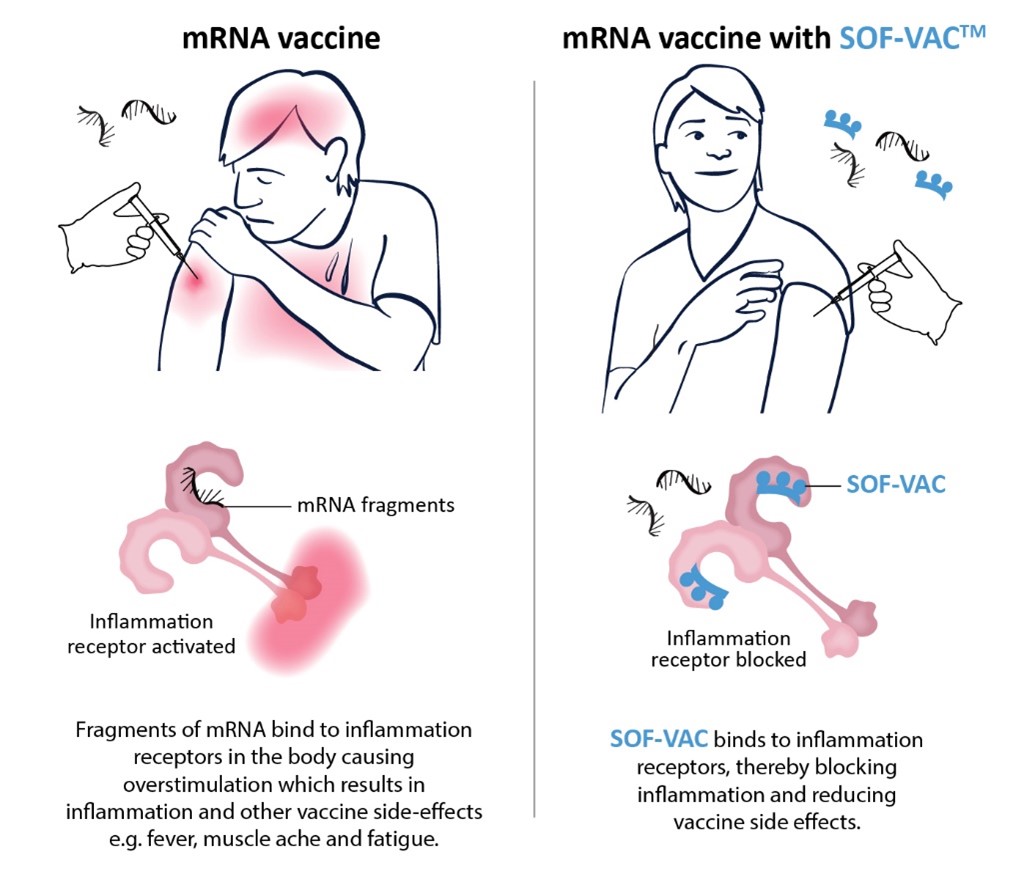 mRNA vaccines